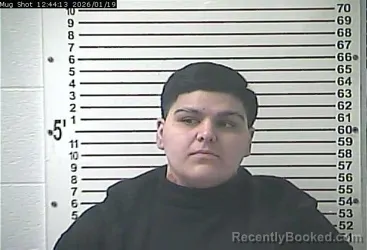 Mugshot of ALONDRA KERIALIES AROCHO FELICIANO