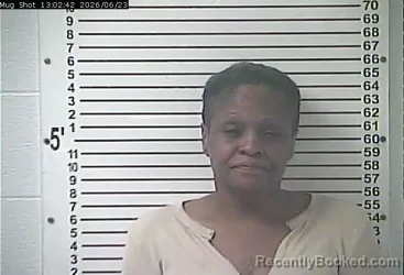 Mugshot of ALEXANDRIA NICOLE BREWINGTON booked in Hardin County, Kentucky on June 23, 2026