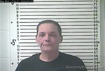 Mugshot of AMANDA MARIE CLEMMONS