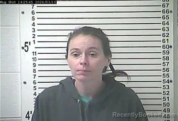 Mugshot of AMANDA KATE GIBSON booked in Hardin County, Kentucky on March 10, 2026
