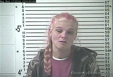 Mugshot of ANGELIQUE LILLIAN JOHNSON
