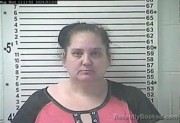 Mugshot of ANGELA RAYE LEMONS