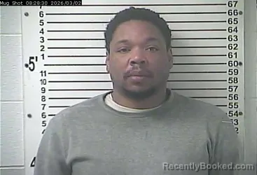 Mugshot of ANDRE LEE NEWBY