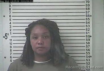 Mugshot of Brittany Danille Brown booked in Hardin County, Kentucky on August 28, 2026