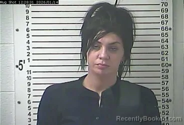 Mugshot of BRITTNEY NICOLE GRAY