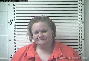 Mugshot of BRANDY NICOLE KINSER booked in Hardin County, Kentucky on March 6, 2026