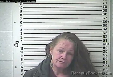 Mugshot of BRANDY MICHELLE MILLER booked in Hardin County, Kentucky on March 18, 2026