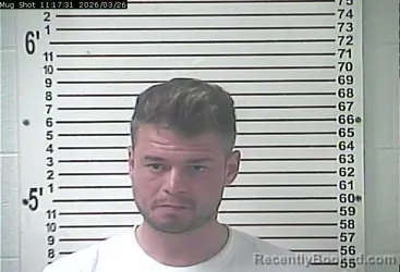 Mugshot of BOBBY JORDAN PLAU