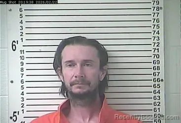 Mugshot of BRIAN WADE PETERS