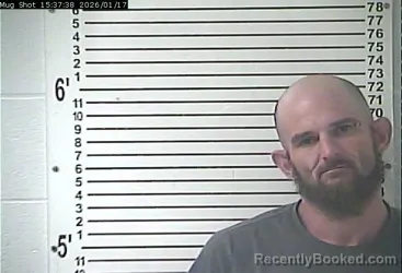 Mugshot of BRIAN MATTHEW WAY