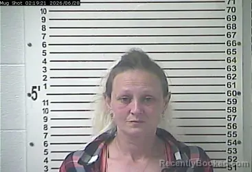 Mugshot of CHERYL ANN ALVEY booked in Hardin County, Kentucky on June 28, 2026