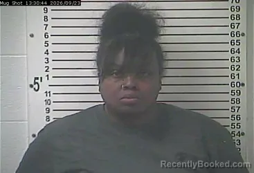 Mugshot of Christina Lynn Prince booked in Hardin County, Kentucky on September 23, 2026