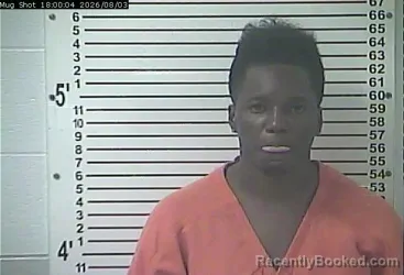 Mugshot of CHERELLE YVETTE WILLIAMS booked in Hardin County, Kentucky on August 3, 2026