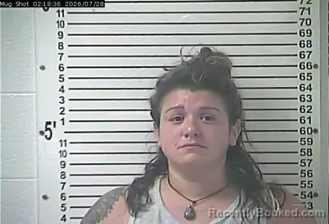 Mugshot of Danielle Rachael Bellitto booked in Hardin County, Kentucky on July 28, 2026