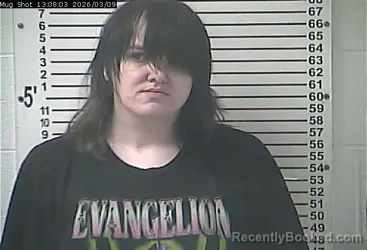 Mugshot of DARIEN EDWARD DIEMER booked in Hardin County, Kentucky on March 9, 2026