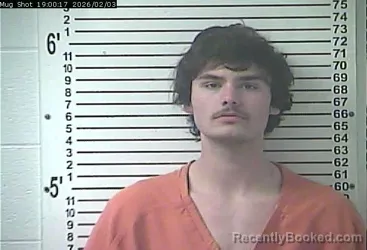 Mugshot of DYLAN ANDREW HALL
