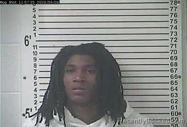 Mugshot of Davyt Lennox Lewis booked in Hardin County, Kentucky on August 6, 2026