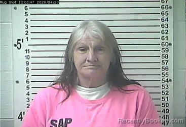 Mugshot of DORREEN ELAINE MITCHELL booked in Hardin County, Kentucky on April 20, 2026