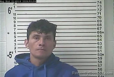 Mugshot of DAVID YADER RUIZ