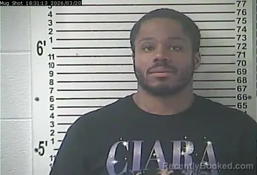 Mugshot of DAVID EARL WALLS booked in Hardin County, Kentucky on March 20, 2026