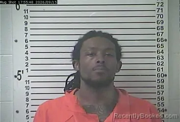 Mugshot of Dewayne Terrell Williamson booked in Hardin County, Kentucky on September 15, 2026