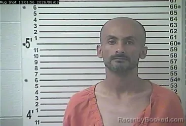 Mugshot of HANNY MOHAMMED ASHISHI booked in Hardin County, Kentucky on August 3, 2026