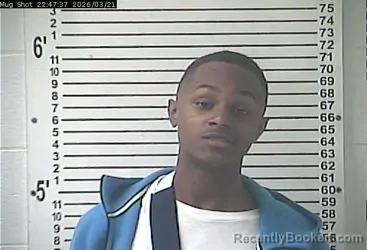 Mugshot of JAIRECE ANDERSON BANKS booked in Hardin County, Kentucky on March 21, 2026