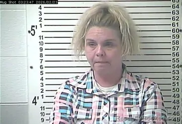 Mugshot of JENNIFER LEANN BROOKS