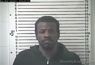 Mugshot of JESSE JAMES BROWN