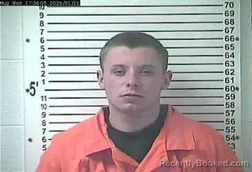 Mugshot of JORDAN LEE HEFLIN