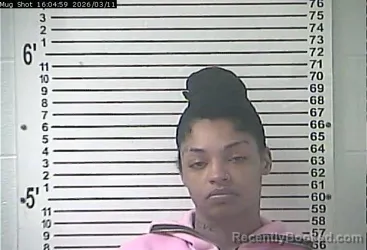 Mugshot of JLYIAH TYSHAYLR NEILSHAE LANE booked in Hardin County, Kentucky on March 11, 2026