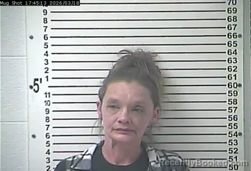 Mugshot of JENNIFER MARIE LITTLE booked in Hardin County, Kentucky on March 18, 2026