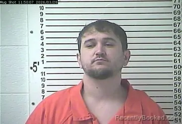 Mugshot of JUSTIN BRANDON MITCHNER