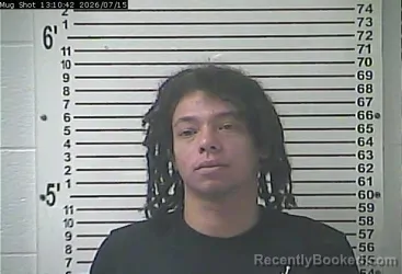 Mugshot of JAELIN SHARAAD PETTY booked in Hardin County, Kentucky on July 15, 2026