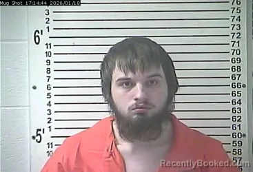 Mugshot of JAMIE LEE WHITE