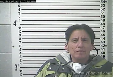 Mugshot of KERRI RAE BRENNAN