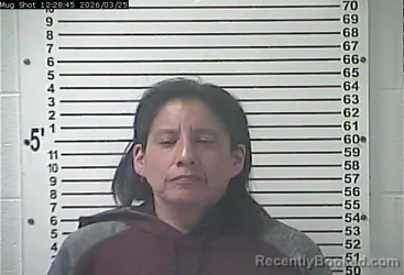 Mugshot of KERRI RAE BRENNAN