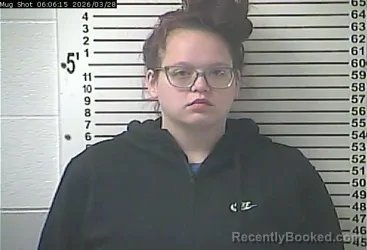 Mugshot of KAITLYNN ELIZABETH FEILER