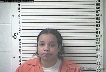 Mugshot of KEHYLANI HAJI booked in Hardin County, Kentucky on March 18, 2026