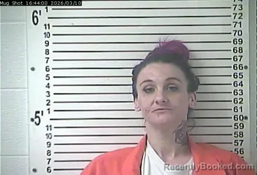 Mugshot of KRISTEN ANNE TEDALDI DICKERSON booked in Hardin County, Kentucky on March 10, 2026