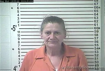 Mugshot of LISA ANN CHILDRESS booked in Hardin County, Kentucky on March 8, 2026