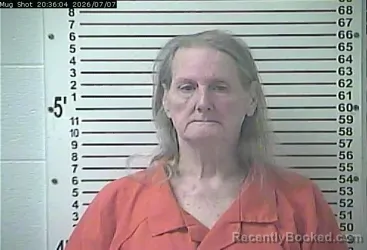 Mugshot of LYNANNE RENEE EVANS booked in Hardin County, Kentucky on July 7, 2026