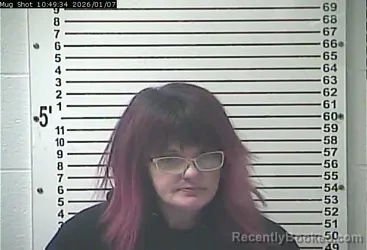 Mugshot of LANITA DEL GIBBS