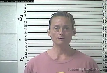 Mugshot of LISA TODD LOWE