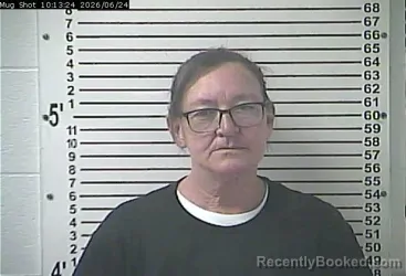 Mugshot of LISA ANN SANCHEZ booked in Hardin County, Kentucky on June 24, 2026