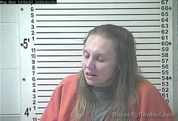 Mugshot of MEGAN N BADGETT