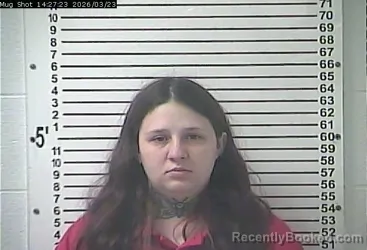 Mugshot of MEGAN ABYGALE COX