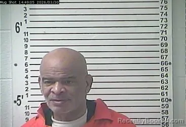 Mugshot of MICHAEL LEE GERTON