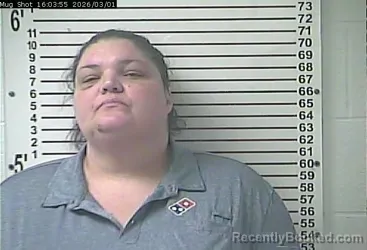 Mugshot of MEAGAN NICOLE ISHAM DEAN