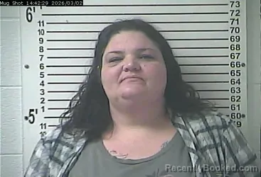 Mugshot of MEAGAN NICOLE ISHAM DEAN
